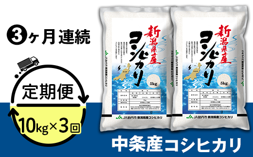 23-K103【3ヶ月連続お届け】新潟県中条産コシヒカリ10kg（5kg×2袋）