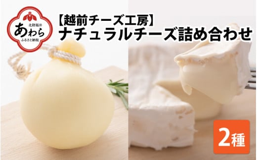 ナチュラルチーズ 2種 詰め合わせ 406877 - 福井県あわら市