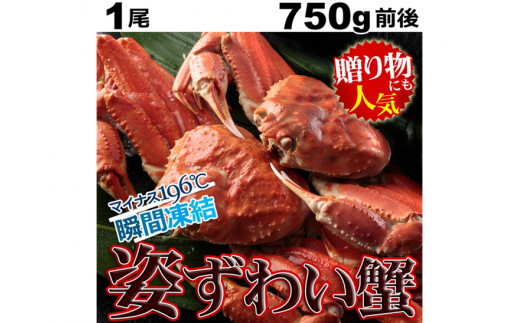 ビッグサイズ! ボイルズワイ蟹姿 750g 1尾【1247996】 - 大阪府岸和田