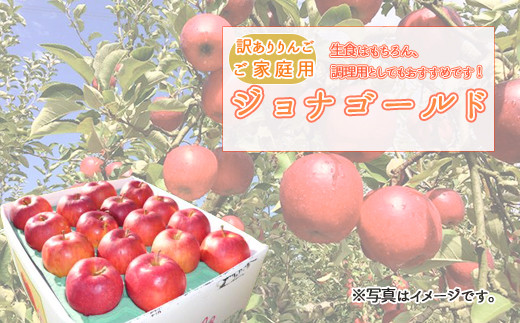 訳ありご家庭用ジョナゴールド 26玉 40玉 2段詰め 約10kg 平塚果樹園 秋田県鹿角市 ふるさと納税 ふるさとチョイス