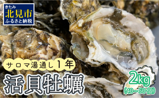 【Z9-012】サロマ湖湯通し1年 活貝牡蠣2キロ(40~50個)