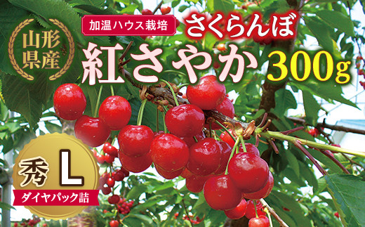 先行予約 加温ハウス栽培 山形県産さくらんぼ紅さやか３００ｇ 秀ｌ ダイヤパック詰 F2y 5159 山形県 ふるさと納税 ふるさとチョイス