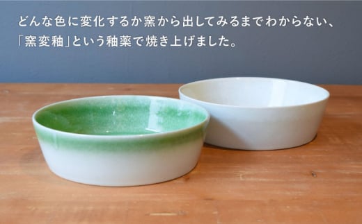 【美濃焼】URBAN ボウル L ペアセット グリーン＆ホワイト【作山窯・SAKUZAN】【TOKI MINOYAKI返礼品】皿 プレート 食器  [MBJ008]