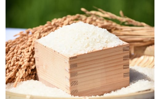 一粒一粒がぷっくり大粒な米の『雪きらり』は、甘く、もちもちとした食感と口飽きしないスッキリとした味が特徴的です。