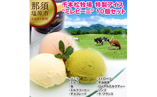那須塩原 千本松牧場 の生乳搾りたてプレミアムアイスクリーム ミレピーニ10個セット アイスバニラギフト詰め合わせお取り寄せアイスクリームセットアイス クリームギフト 栃木県那須塩原市 ふるさと納税 ふるさとチョイス