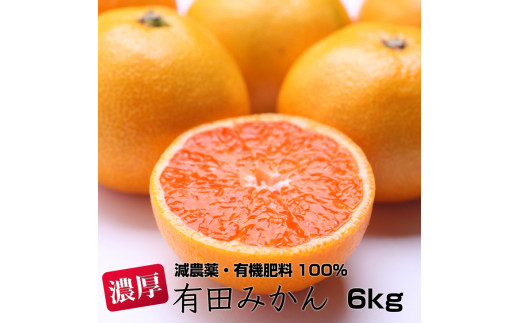 【1月発送】特別栽培濃厚有田みかん6kg 【有機肥料100%・減農薬栽培で育てました】 653095 - 和歌山県広川町