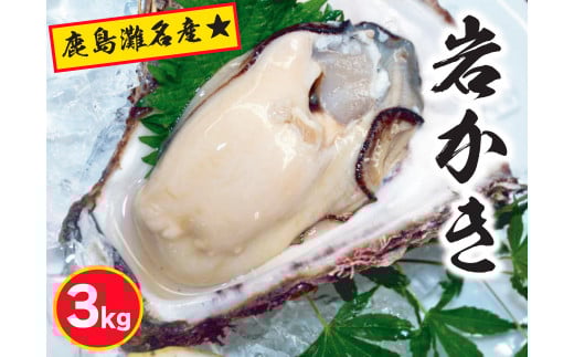 鹿島灘名産★天然岩牡蠣(約3kg)(KBL-8) 352203 - 茨城県鹿嶋市