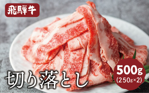 飛騨牛 切落しスライス 500g 焼肉 牛肉 黒毛和牛 和牛 すき焼き 肉じゃが 炒め物 煮物 ギフト 贈り物 飛騨古川 熨斗掛け 冬ギフト 岐阜県飛騨市 ふるさと納税 ふるさとチョイス 飛騨牛 切落しスライス 500g 焼肉 牛肉 黒毛和牛 和牛 すき焼き 肉じゃが 炒め物 煮物 ギフト 贈り物 飛騨古川 熨斗掛け 冬ギフト 岐阜県飛騨市 ふるさと納税 ふるさとチョイス