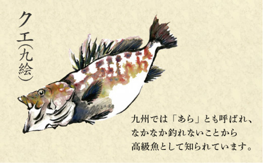 長崎県産天然クエ 冷凍クエしゃぶセット2人前 長崎卓袱浜勝 Lgs002 長崎県長崎市 ふるさと納税 ふるさとチョイス