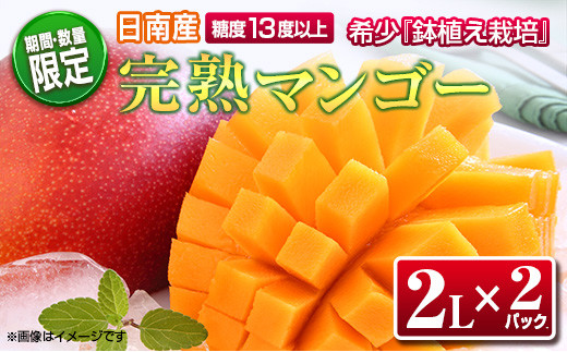 BC36-21 ≪期間・数量限定≫糖度13度以上★完熟マンゴー(2L×2パック) フルーツ 果物 日南産