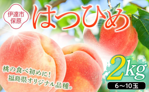 福島の桃 はつひめ 2kg（6～10玉） 【あかい果樹園】 先行予約 フルーツ 果物 もも モモ momo F20C-506 519381 - 福島県伊達市