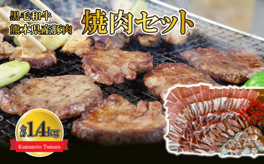 黒毛和牛 熊本県産豚肉 焼肉セット 合計1.4kg 332731 - 熊本県玉名市