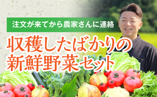 野菜バイヤーの梁川（やながわ）さんが新鮮な野菜を選んでお届けします！