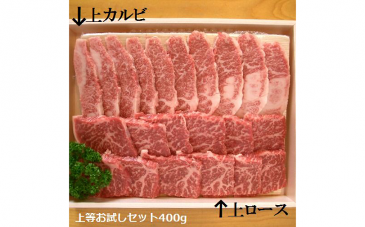 Si 5 石垣牛 焼肉用お試しセット 0g 2種の盛合せ 計400g入り 沖縄県石垣市 ふるさと納税 ふるさとチョイス