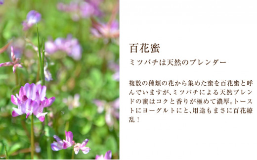 [№5894-0308]北海道美深産 天然はちみつ1.2kg（瓶） 3回定期便【2ヶ月に1回】