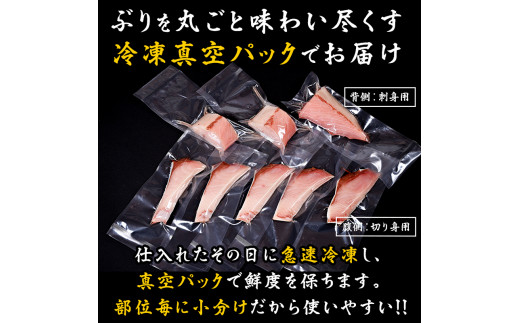 ぶり三昧 1 4分の1尾分 F21m 380 羅臼町羅臼町 ふるさと納税 ふるさとチョイス