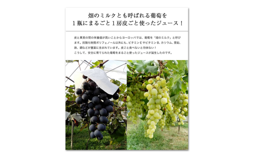 幸田町産ぶどう使用(無添加、無糖、無加水)100％ジュース