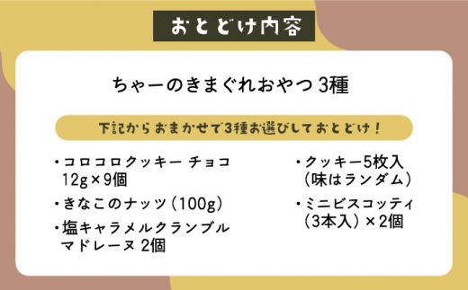 テレビで紹介された人気店＞ちゃーのきまぐれおやつ3種【せなふち