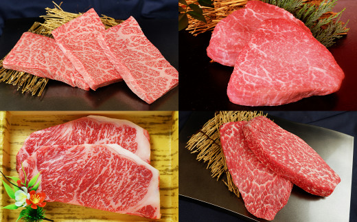 【定期便12回】熊本県産 あか牛ステーキ 極上 食べ比べ あか牛 和牛 牛肉 ステーキ