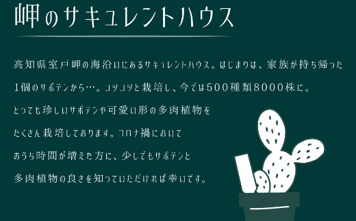 22春夏新色 ふるさと納税 花 苗木 種 高知県室戸市 ｓｈ００４サボテン多肉植物の小苗アソートセットｗーｓ 棘なし 高知県室戸市 寄せ植え説明書付 プリザーブドフラワー Whatisagpo Com