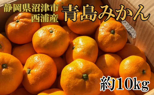 【価格改定予定】静岡県沼津市西浦産　青島みかん　約10kg　ご家庭用 287384 - 静岡県沼津市