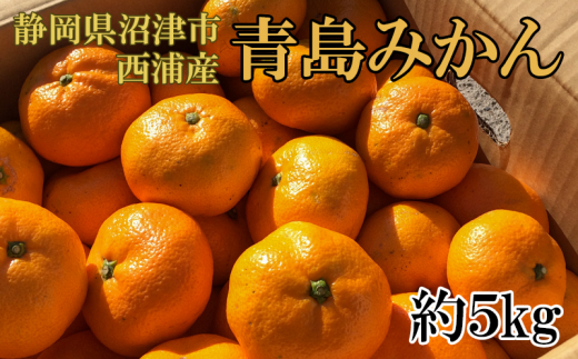 【価格改定予定】静岡県沼津市西浦産　青島みかん　約5kg　ご家庭用 287383 - 静岡県沼津市