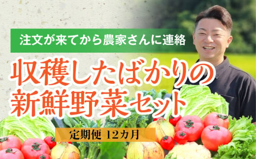 野菜バイヤーの梁川（やながわ）さんが新鮮な野菜をお届け！