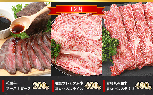 定期便6回・偶数月のみ配送】総重量6.3kg！【3種の牛肉】椎葉牛・椎葉