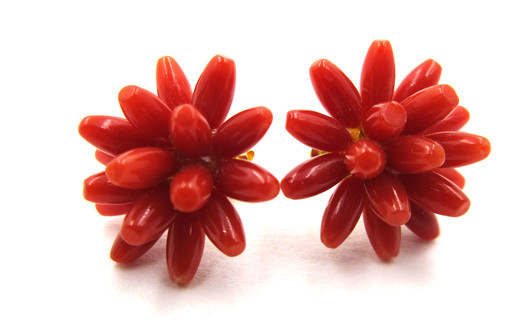 赤珊瑚花のピアス1 787026 - 高知県宿毛市