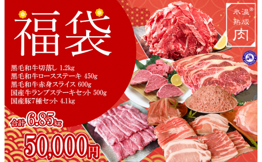 050F095 【期間限定福袋】氷温(R)熟成肉 50,000円コース(合計6.85kg)12月限定