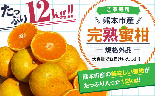 【規格外品】熊本市産 完熟 蜜柑 ご家庭用 12kg【2024年9月上旬～2025年1月下旬発送予定】 みかん ミカン 1015209 - 熊本県熊本市