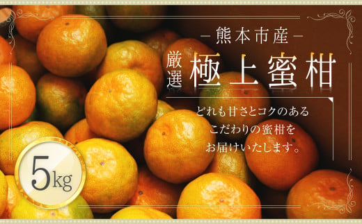 熊本市産 厳選 極上蜜柑 5kg【2024年9月上旬～2025年1月下旬発送予定】 みかん ミカン 柑橘 800865 - 熊本県熊本市