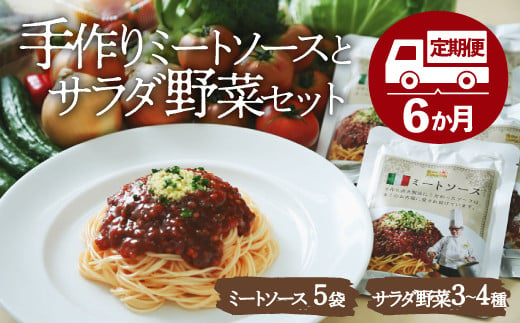 【月に一度はパスタの日】手作りミートソースとサラダ野菜セット（半年パスポート） 786739 - 愛媛県大洲市