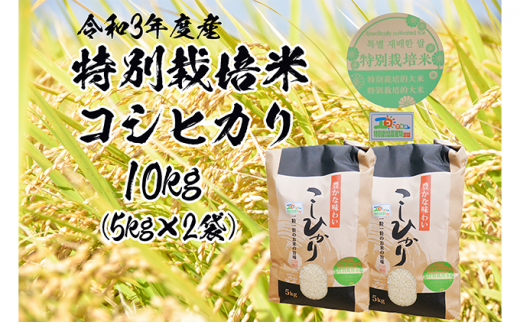 令和三年産特別栽培米　コシヒカリ　10kg[№5722-0550]
