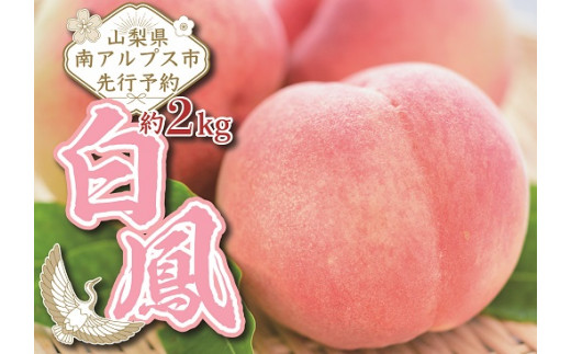 1.3-1-7【令和４年7月上旬から8月上旬発送予定】山梨県南アルプス市産完熟桃　白鳳系　約2kg（4～8玉）　ALPEJ006 287638 - 山梨県南アルプス市