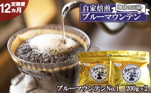 【定期便】自家焙煎 “コーヒーの王様” ブルーマウンテン(ストレート)12ヵ月【増量】(粉) 236324 - 福岡県小郡市