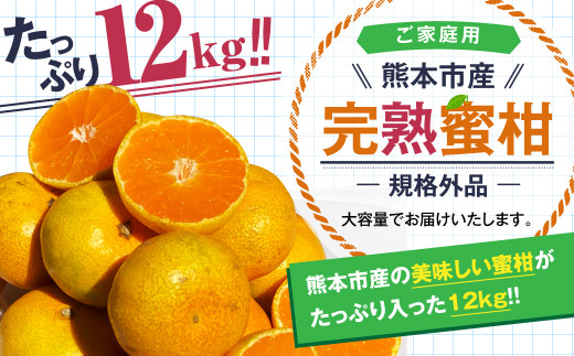 【規格外品】熊本市産 完熟 蜜柑 ご家庭用 12kg