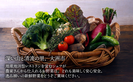 【有機JAS認定オーガニック】シェフの目線「大洲の旬野菜詰合せ」半年パスポート