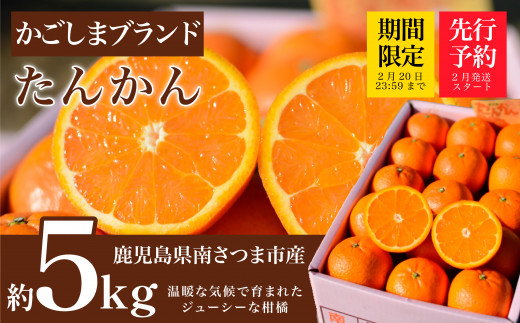 ◆先行受付:2023年2月下旬発送開始◆【かごしまブランド】南さつま市産 たんかん 約5kg 鹿児島県産 ブランド 果物 フルーツ 柑橘 常温 JA 南さつま市