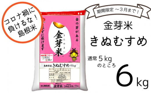 コロナ禍に負けるな 島根米 金芽米きぬむすめ ６kg 島根県安来市 ふるさと納税 ふるさとチョイス