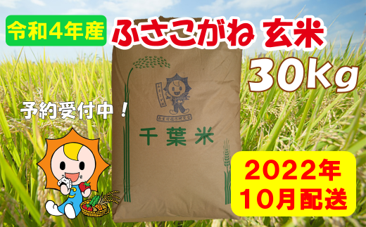 H02 A01 翌年米 ふさこがね 玄米30kg 令和4年産米 新米予約 千葉県長生村 ふるさと納税 ふるさとチョイス