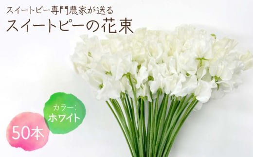 【先行予約】【生産農家直送！】スイートピー 花束 50本（ホワイト）【木下農園】 [IBW003] 287856 - 佐賀県白石町