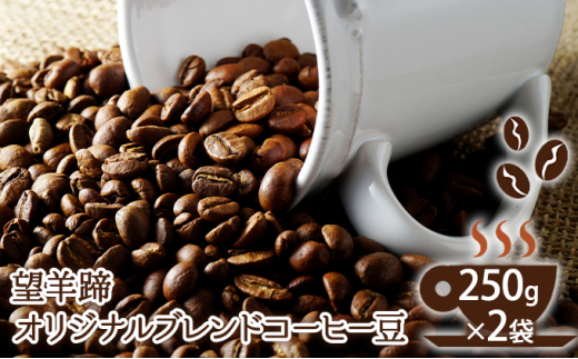 望羊蹄オリジナルブレンドコーヒー豆 250g×2袋