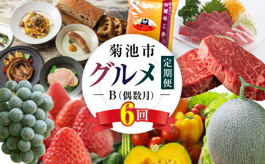 【定期便6回】 菊池市 グルメ 定期便B 【メロンドーム】