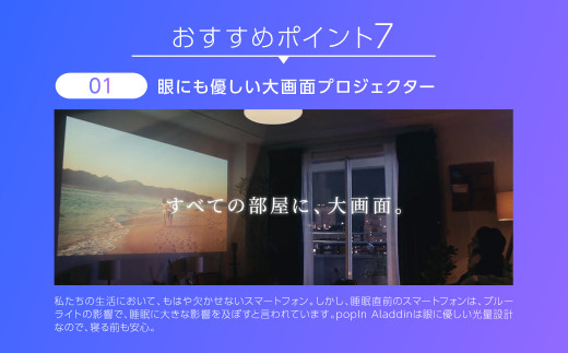 Popin Aladdin Se ポップインアラジン エスイー シーリングライト スピーカー 動画サービス 熊本県高森町 ふるさと納税 ふるさとチョイス