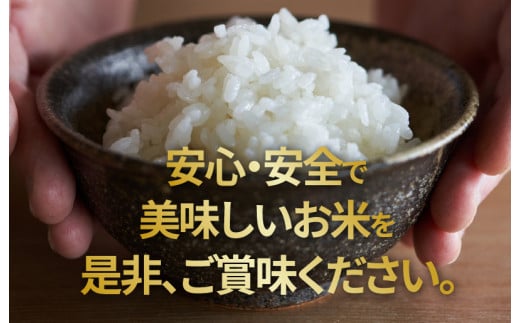新米令和3年産栃木県特一等米コシヒカリ玄米30キロ無農薬には、作り上げたお米です