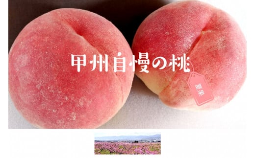 甲州自慢の桃 2kg (5～8玉入り)【2024年発送】（NK）B12-421 258930 - 山梨県甲州市