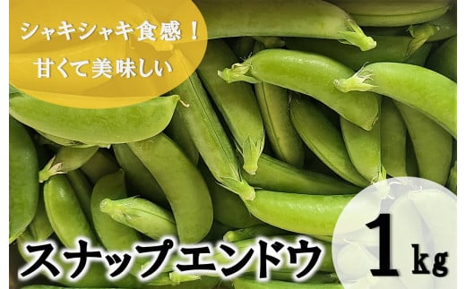 【期間限定発送】 野菜 スナップエンドウ 約1kg [盛光農園 宮崎県 日向市 452060908] スナックエンドウ 国産 379177 - 宮崎県日向市