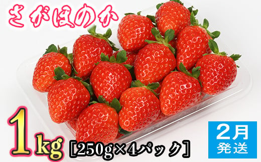 [3月発送]イチゴ『さがほのか』約1kg いちご 先行予約 3月発送 1kg