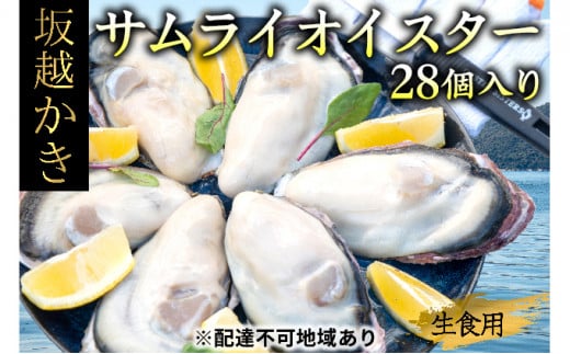 5907 0123 牡蠣 生食 坂越かき 殻付き28個 牡蠣ナイフ 軍手付き サムライオイスター 兵庫県赤穂市 ふるさとチョイス ふるさと納税サイト